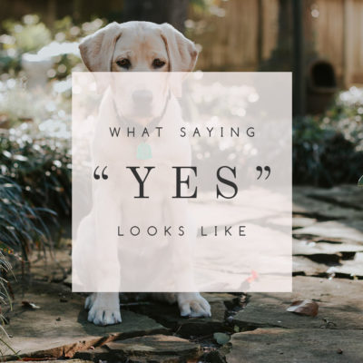 What Saying Yes Looks Like